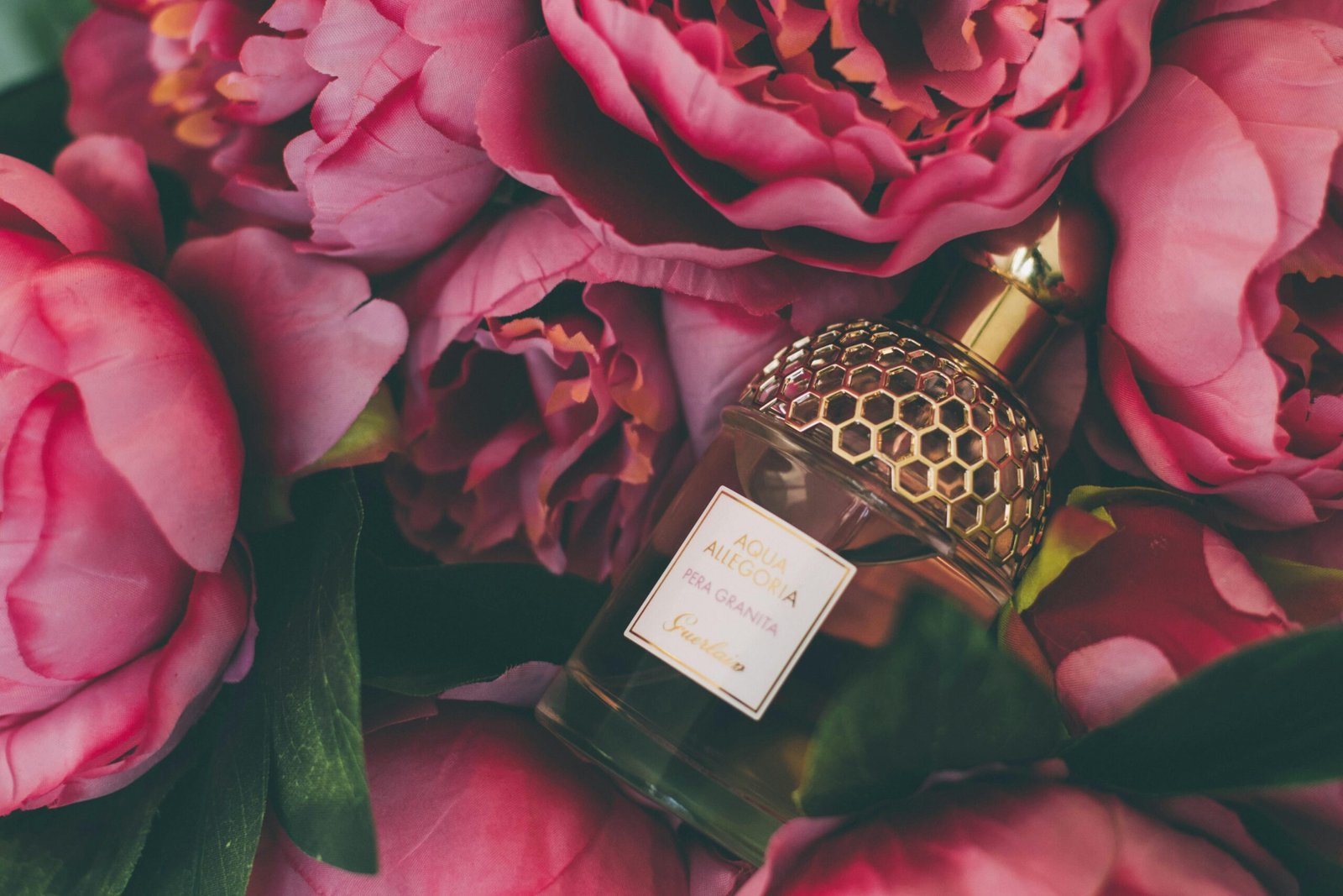 Skinn Noura Perfume Review: The Elegant Scent You’ll Fall in Love With